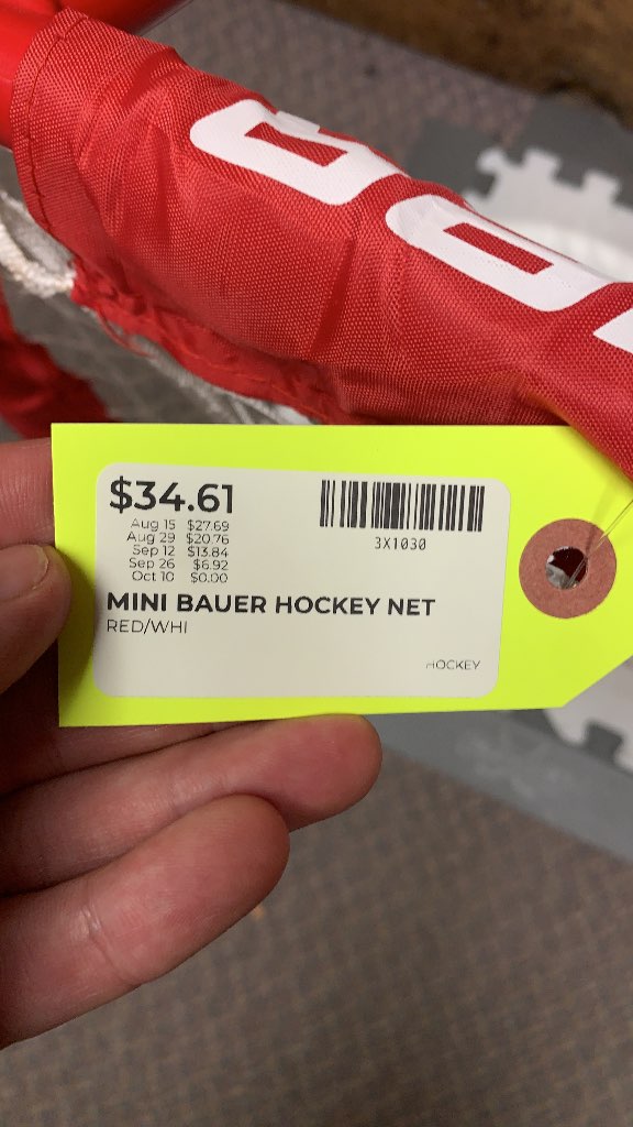 Bauer Mini Hockey Net