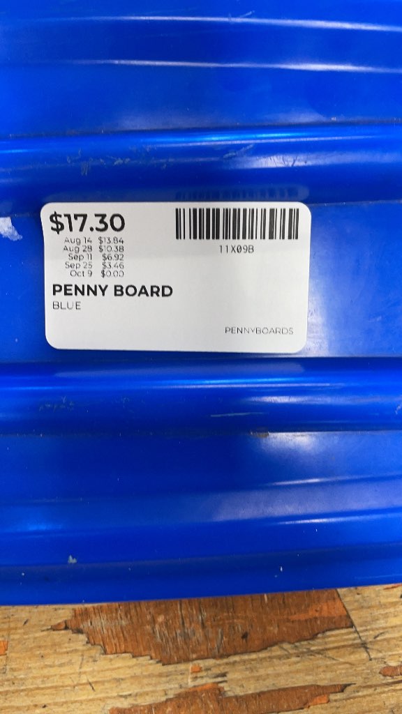 Blue Penny Board Skateboard