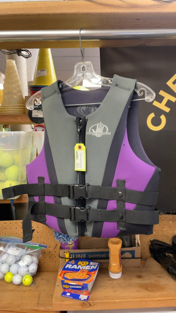 Body Glove Adult Large Life Jacket - Purple/Grey