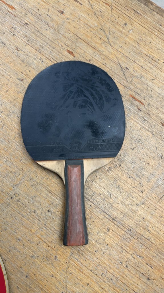 Donic Persson Powerplay Ping Pong Paddle
