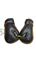 Drako Boxing Gloves