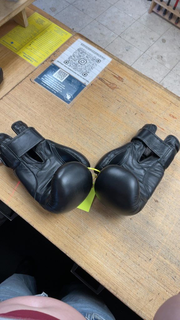 Drako Boxing Gloves