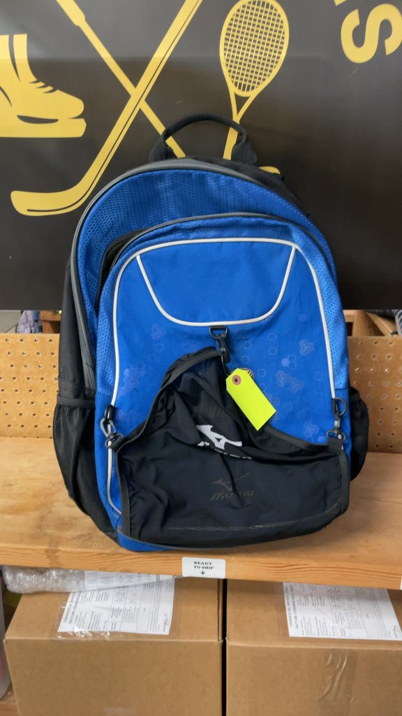 Mizuno Ball Backpack - Blue