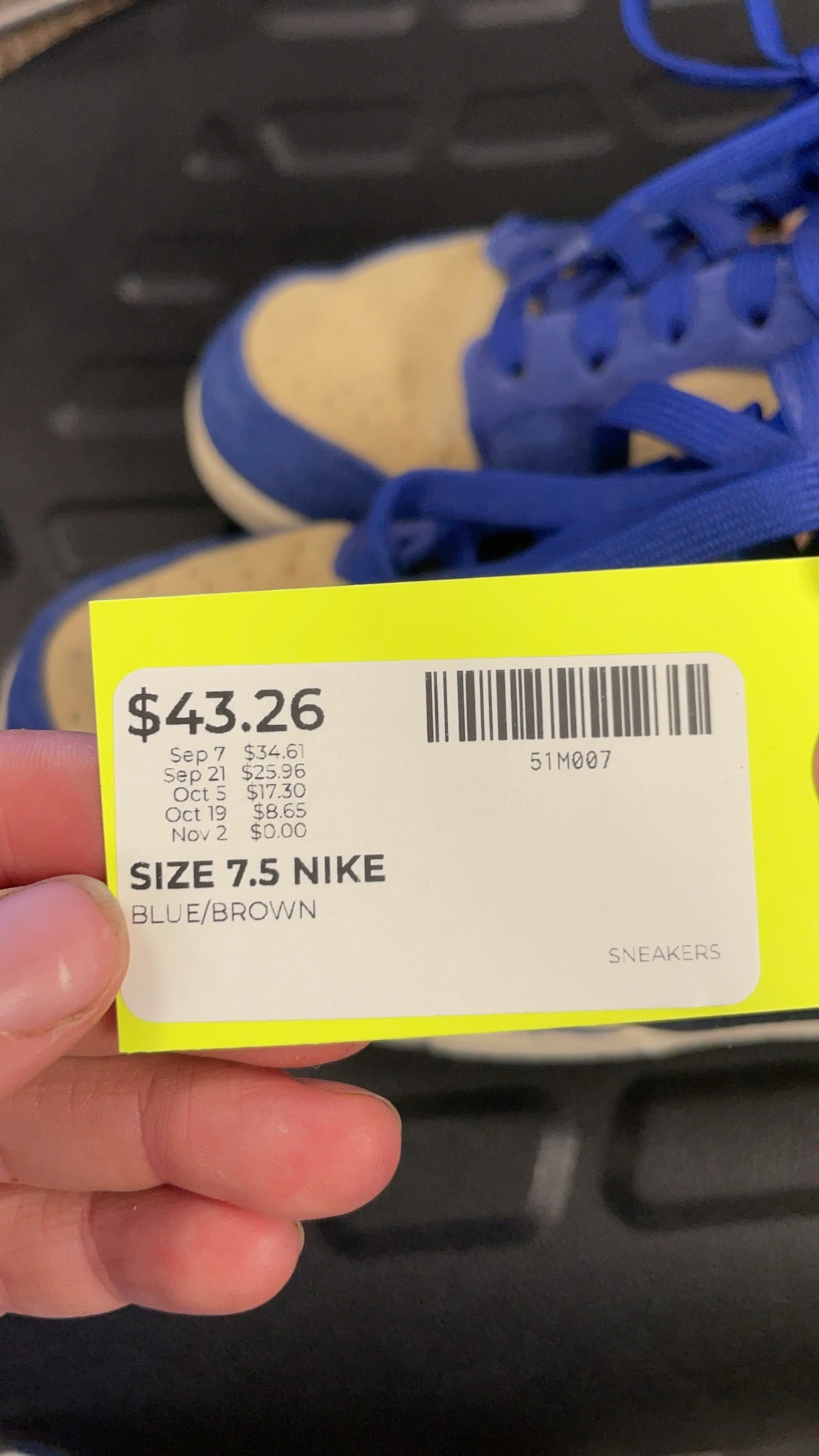 Nike Dunk Low Blue/Brown Sneakers - Size 7.5