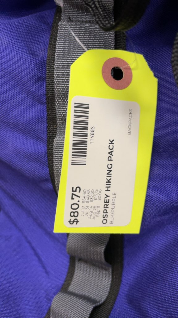 Osprey Silhouette Hiking Backpack - Purple/Black - Size M