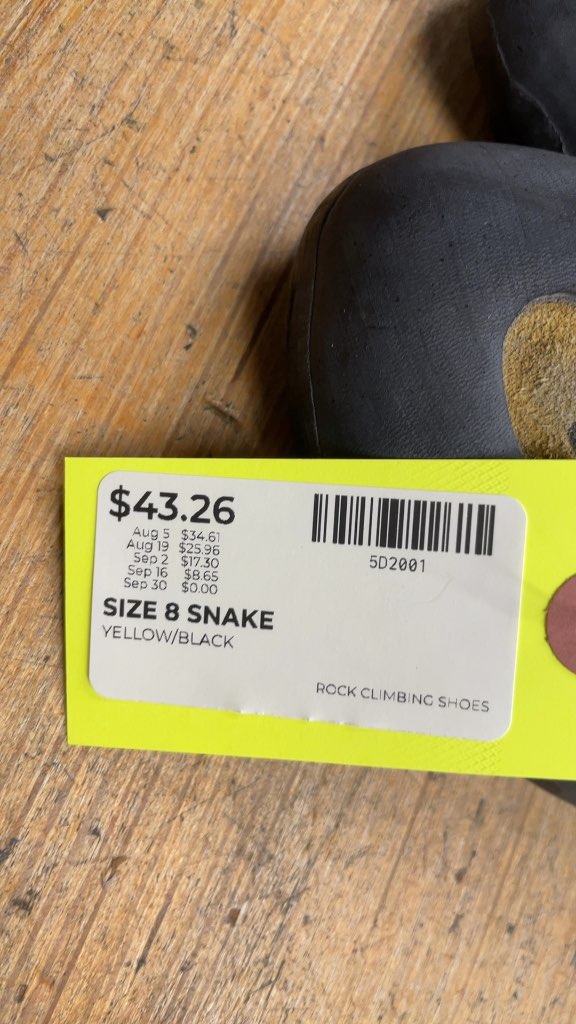 Snake Rock Climbing Shoes