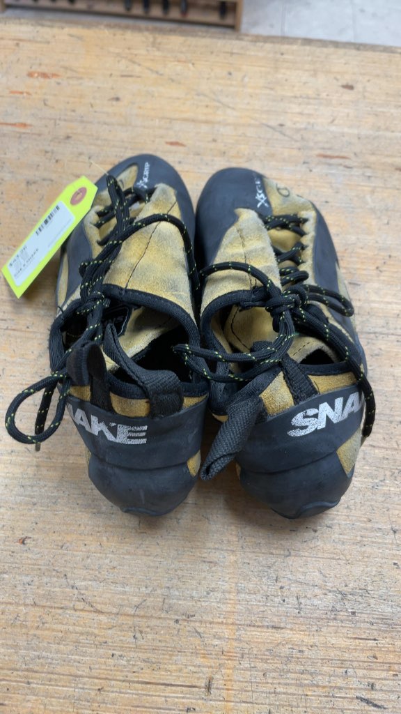Snake Rock Climbing Shoes
