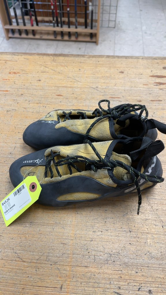Snake Rock Climbing Shoes