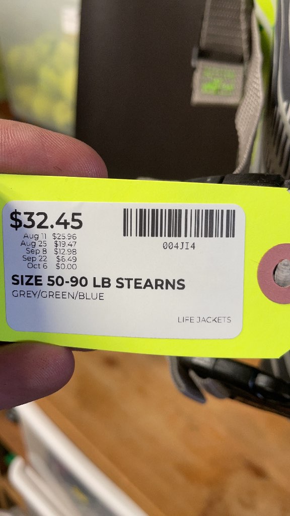 Stearns Youth Life Jacket PFD 50-90 lbs Grey/Green/Blue