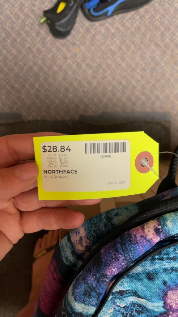 The North Face Blue and Purple Patterned Backpack