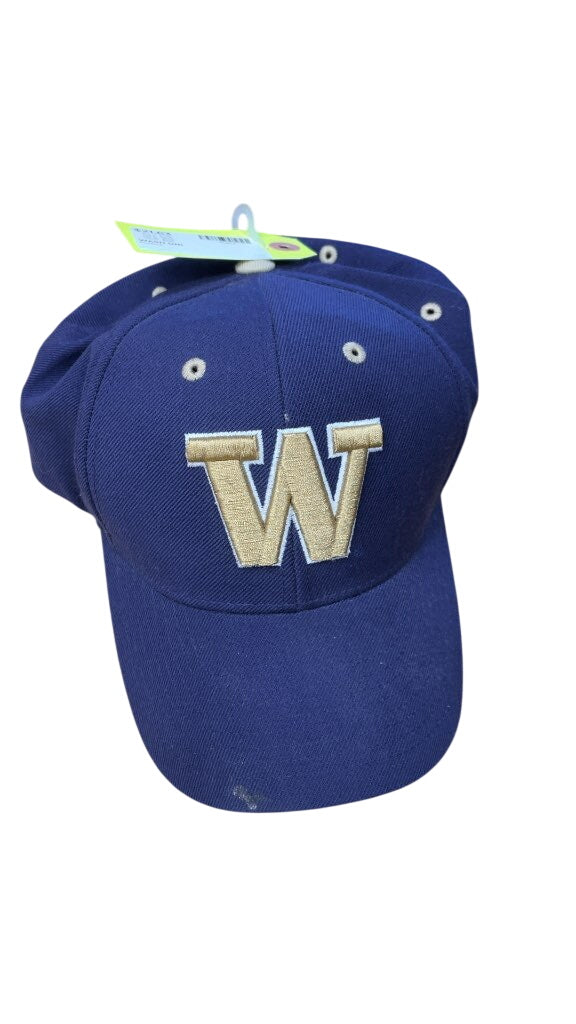 University of Washington Huskies Purple Baseball Cap