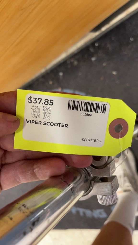 Viper Kick Scooter