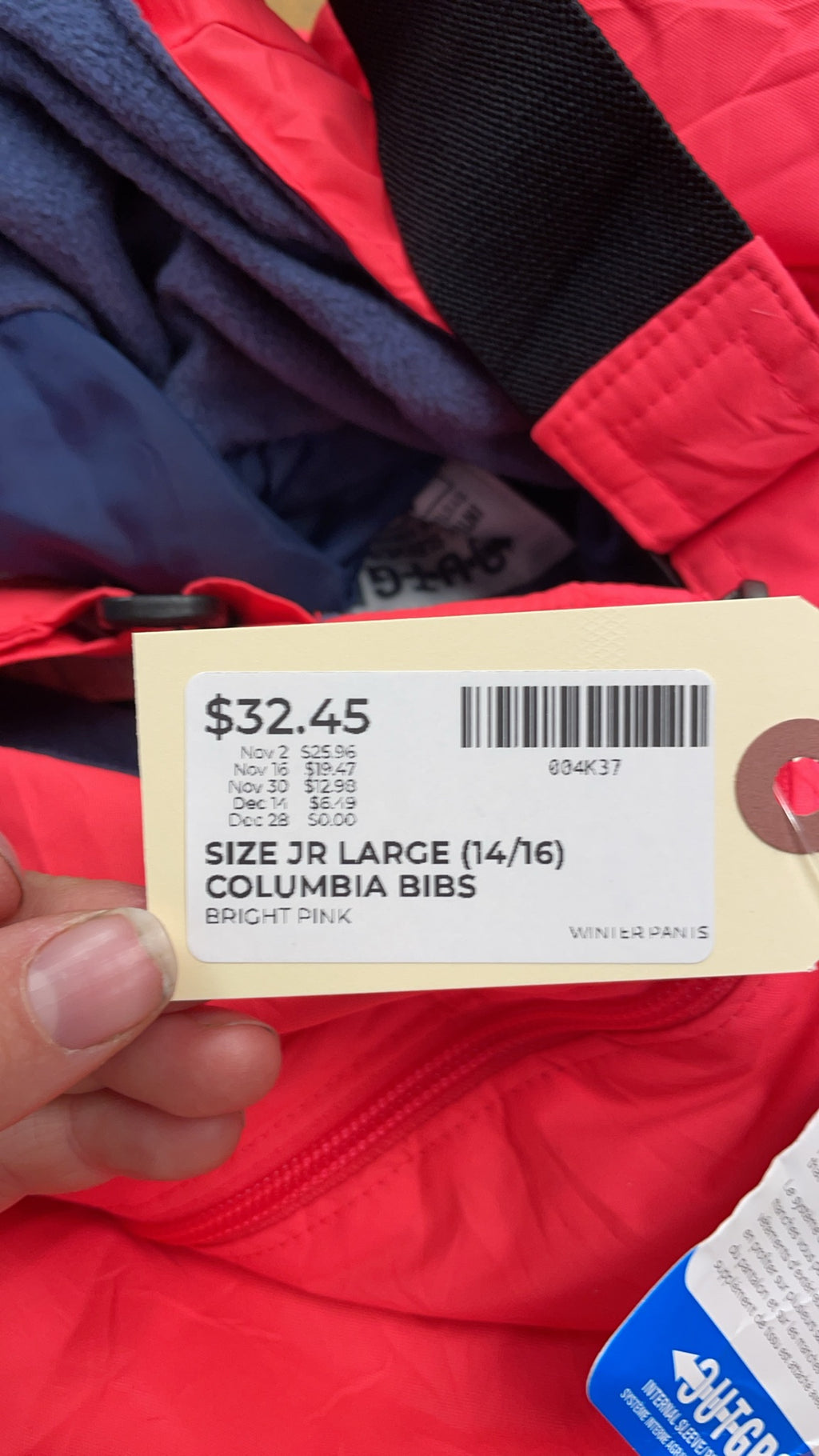 Columbia Outgrown Snow Bib Pants Size L (14/16)