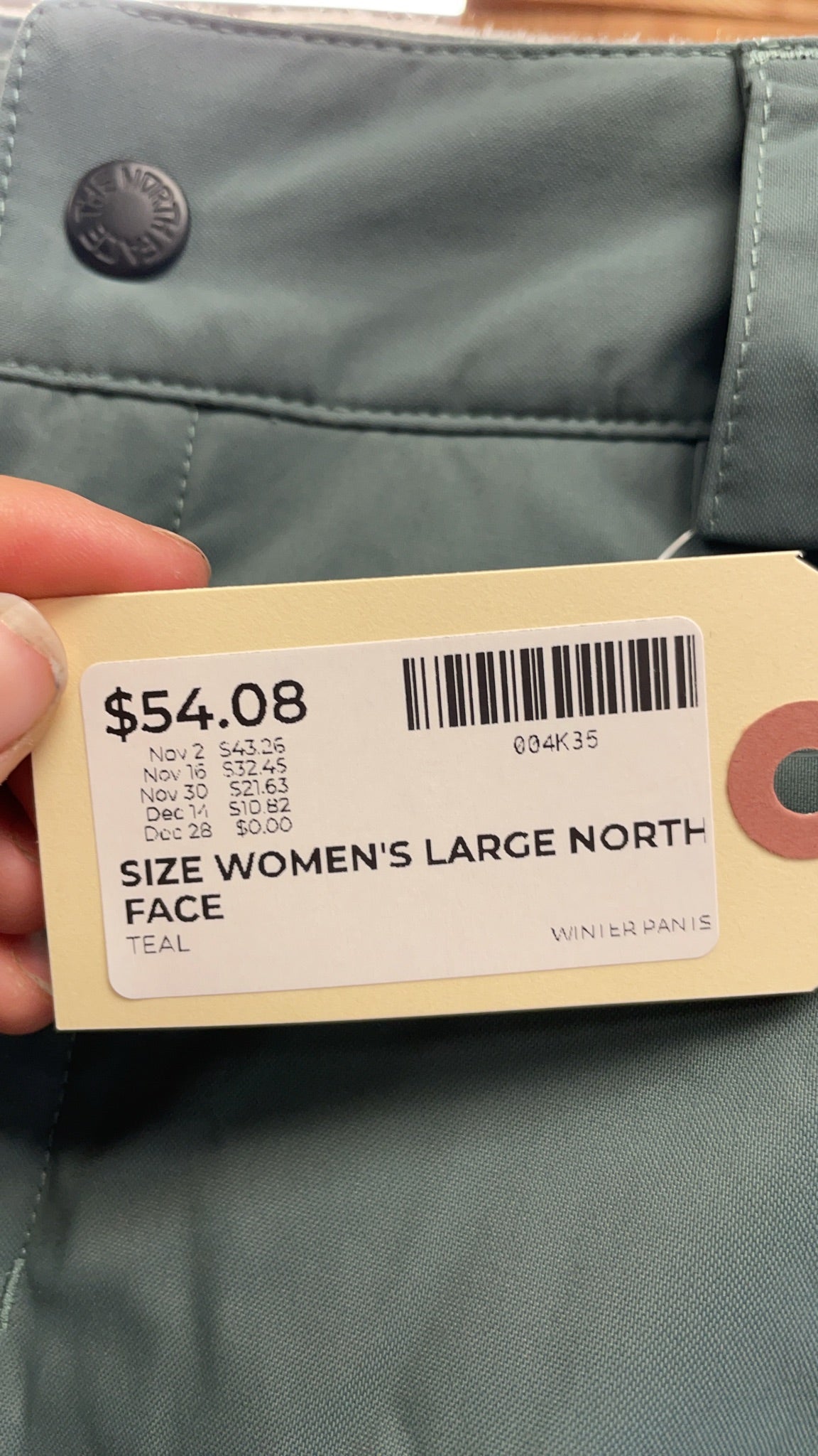 The North Face DryVent Ski Snowboard Pants Size Women's L