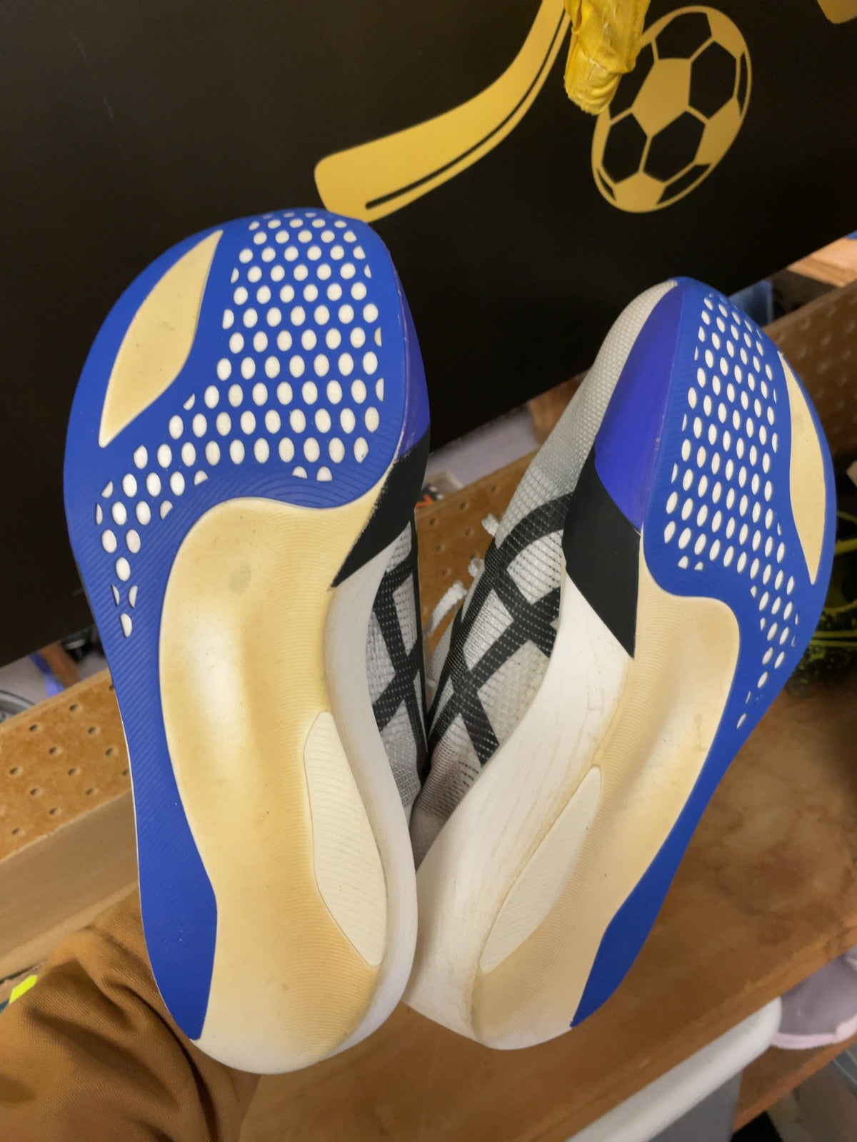 ASICS Metaspeed Sky Size 11.5 US Running Shoes