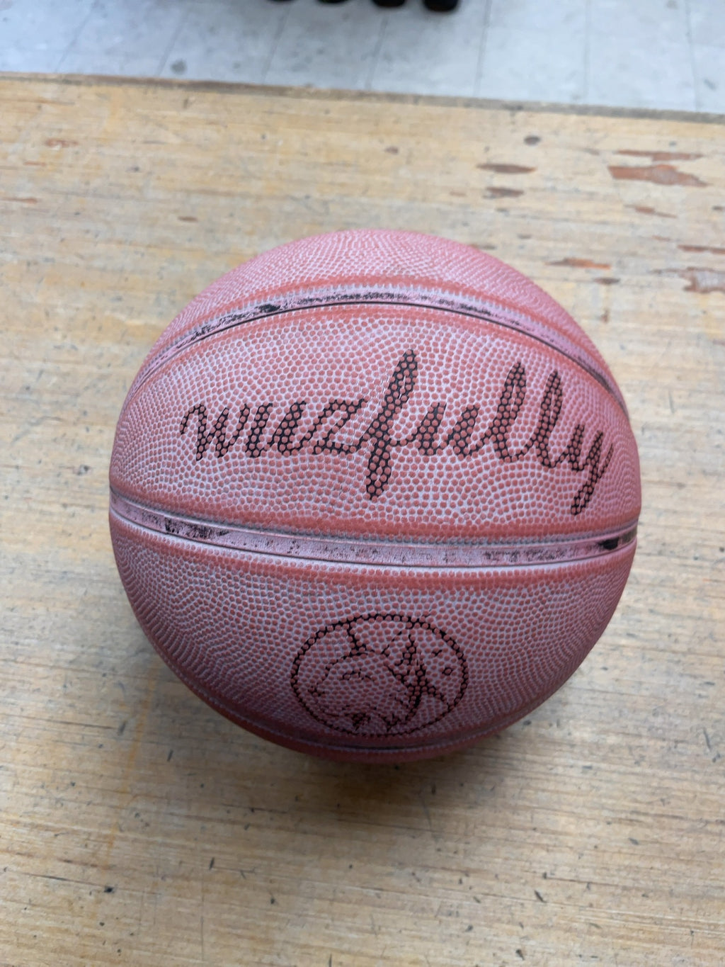 Wiszfully Junior Basketball 27"