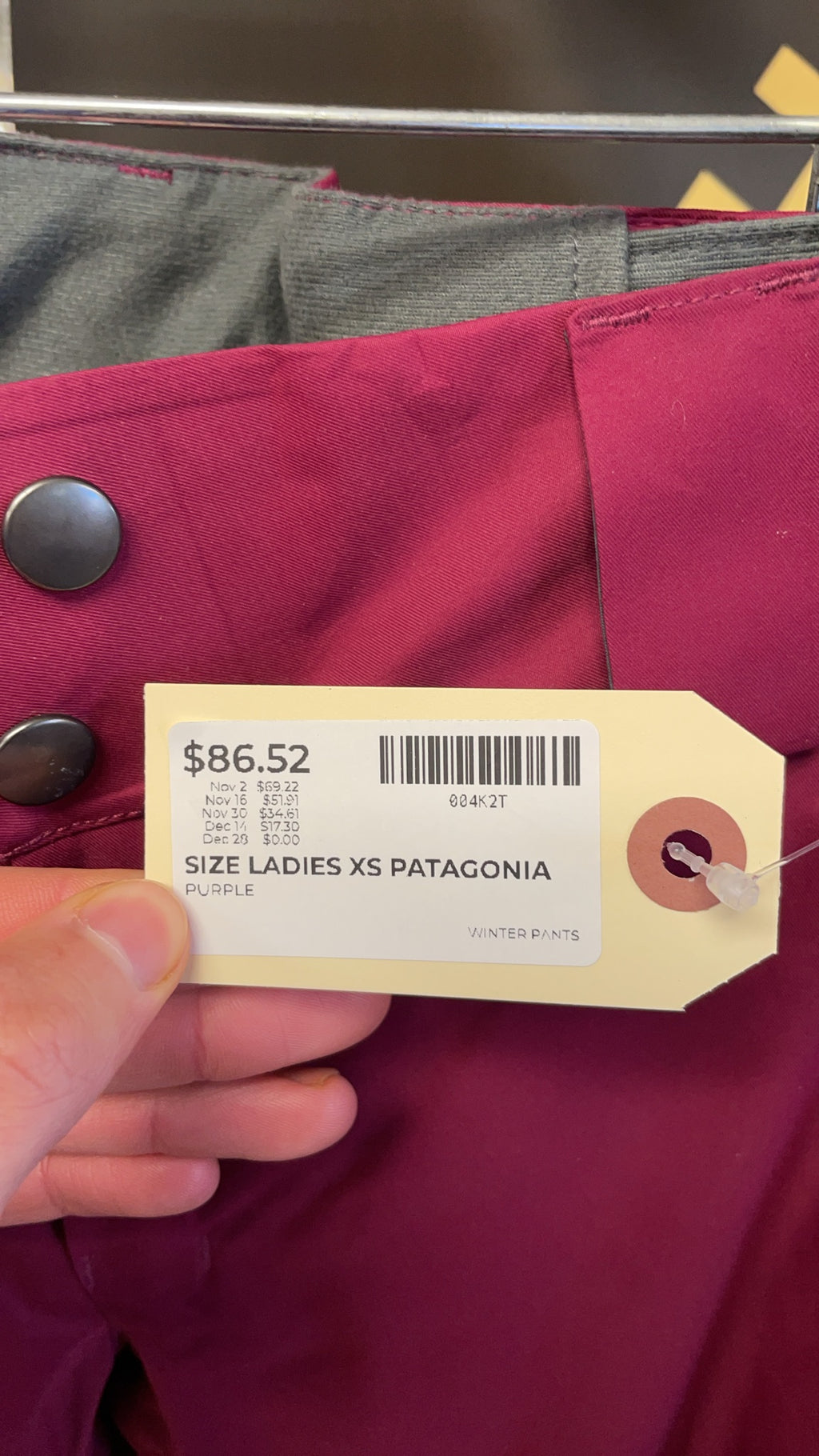 Patagonia Snow Pants Size XS Purple H2No RECCO
