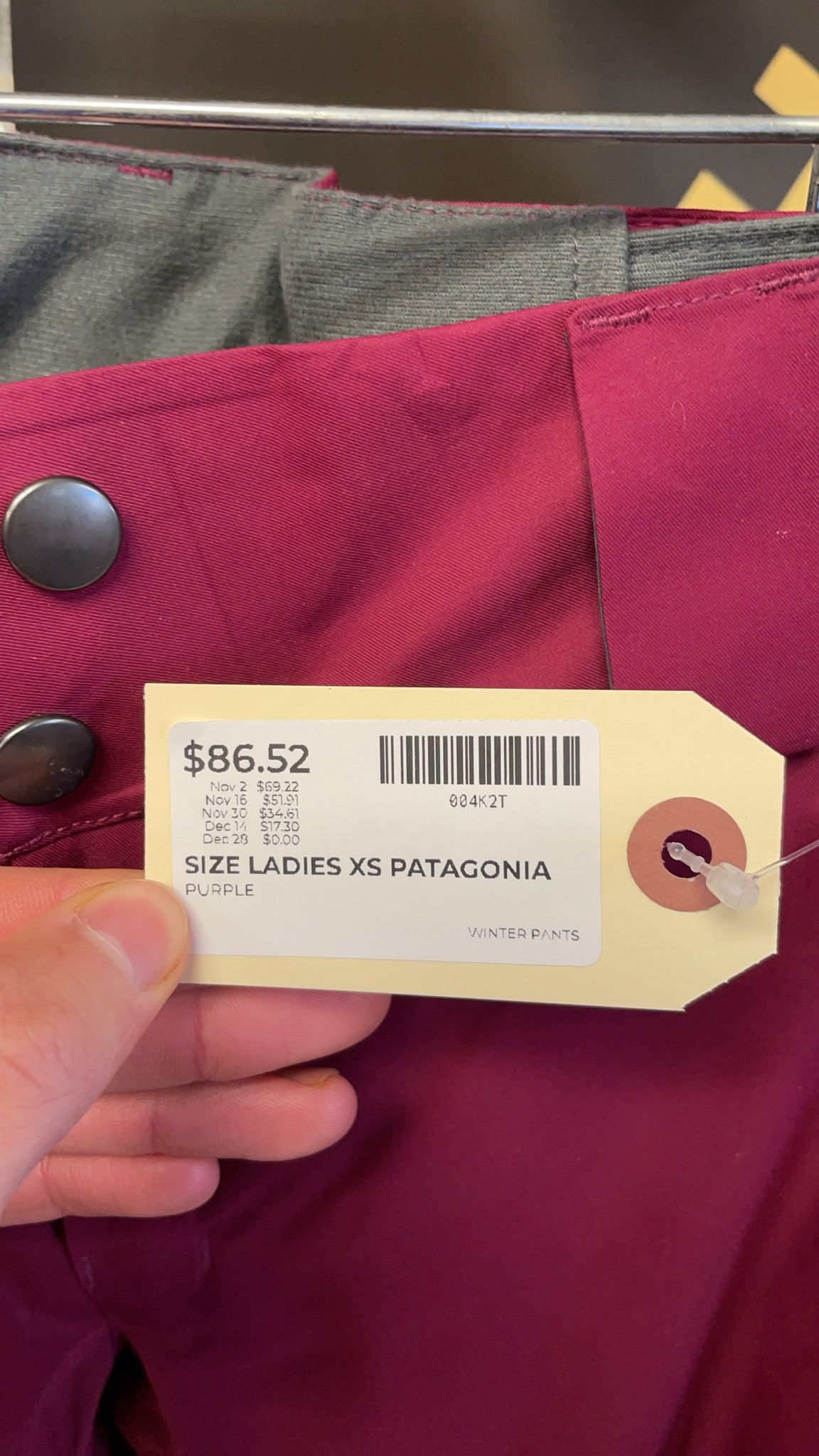 Patagonia Snow Pants Size XS Purple H2No RECCO