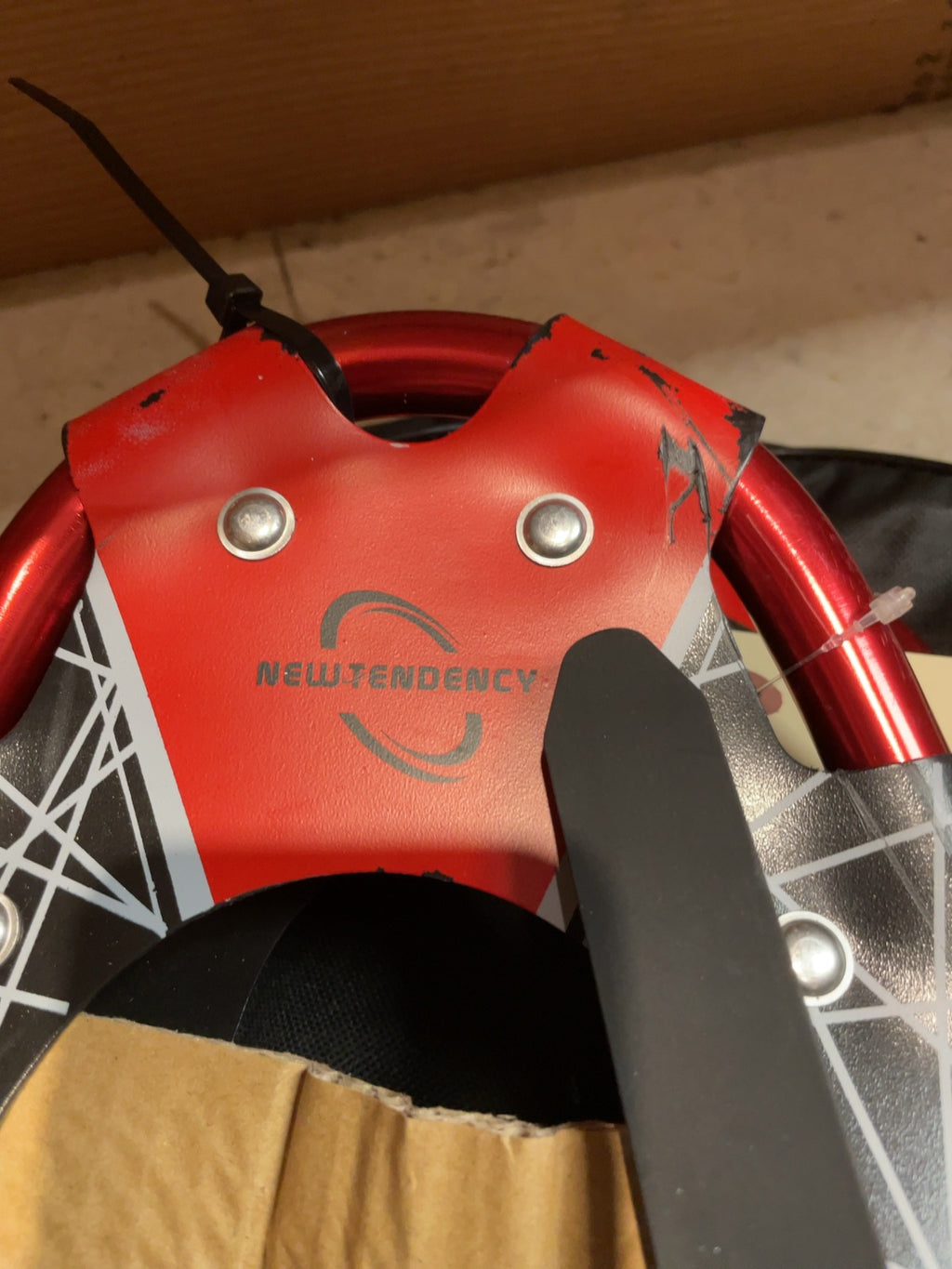 New Tendency Snowshoes with Bag